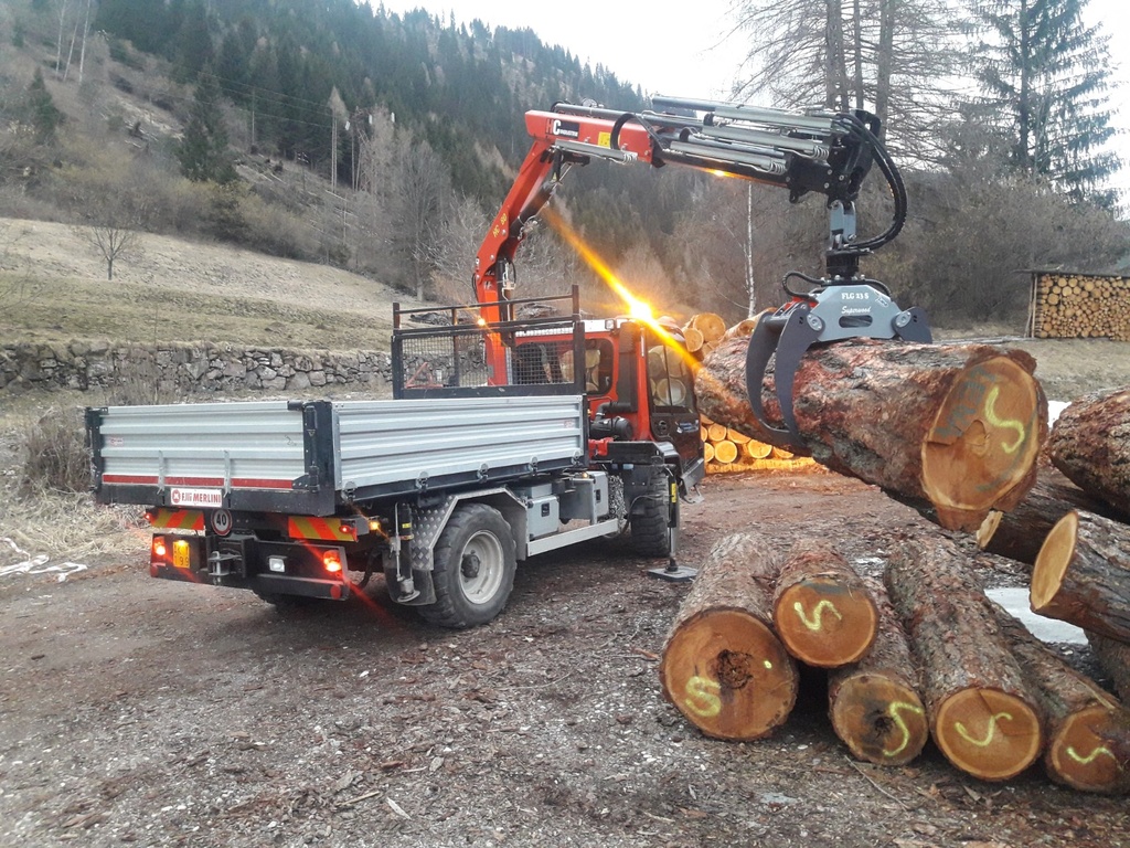 PINZAS FORESTALES PARA GRUA